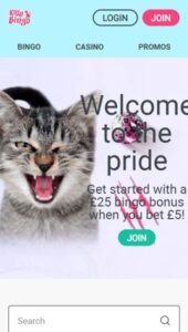 Kitty Bingo casino website