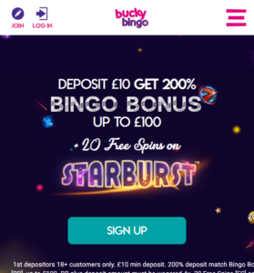 Bucky Bingo casino website